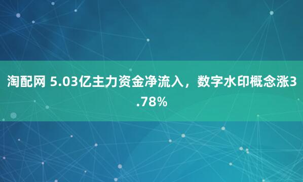 淘配网 5.03亿主力资金净流入，数字水印概念涨3.78%