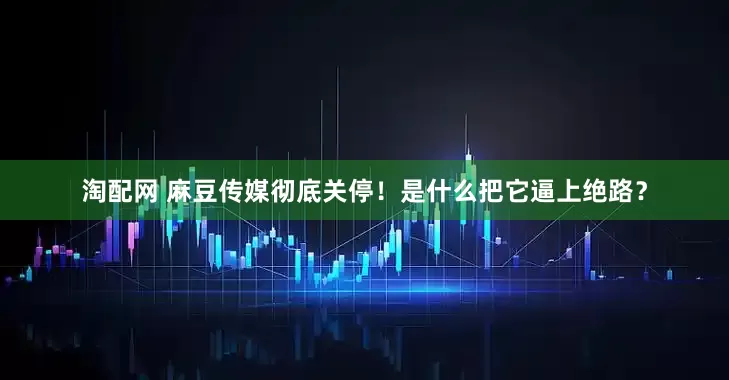 淘配网 麻豆传媒彻底关停！是什么把它逼上绝路？